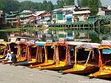 Shikare sul lago Dal2